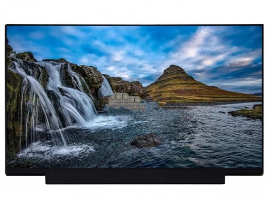 NT173WDM-N25 BOE 17.3&quot; 1600 ((RGB) × 900, HD+ 250 (cd/m2)
