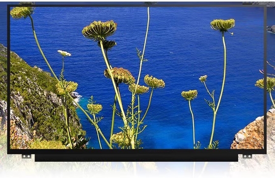M133NWR9 R0 IVO 13,3&quot; 1366 ((RGB) × 768, 200 cd/m2 INDUSTRIELLES LCD-Display