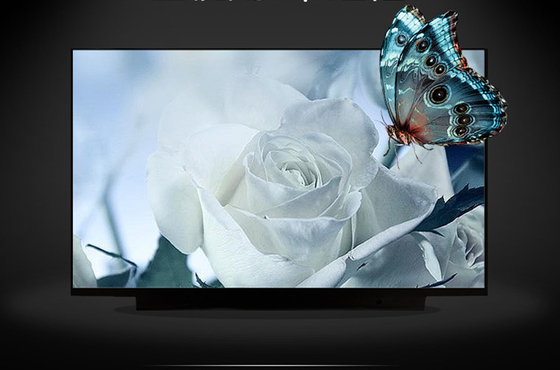 B133HAK02.2 AUO 13,3&quot; 1920 ((RGB) × 1080, 300 cd/m2 Industrielle LCD-Bildschirm