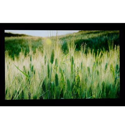 10,1“ LCM 1024×600RGB   350cd/m ²   Scharfes LQ101W3LG01 TFT LCD-Anzeige