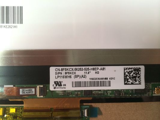 LP116WH6-SPA2 LG Display 11,6“ 1366 (RGB) ² ×768 300 cd/m INDUSTRIELLE LCD-ANZEIGE