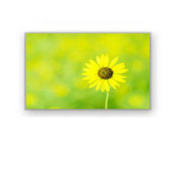 4,0&quot; industrielle Lcd Anzeige HSD040I3N1-B00 HannStar 320×240 4700cd/M2